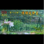 当下见证情绪是能量