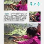 当生命跃入你的心湖1