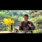 误会集~唯女子与小人难养也