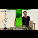 改掉习性-就从丢黑豆开始吧