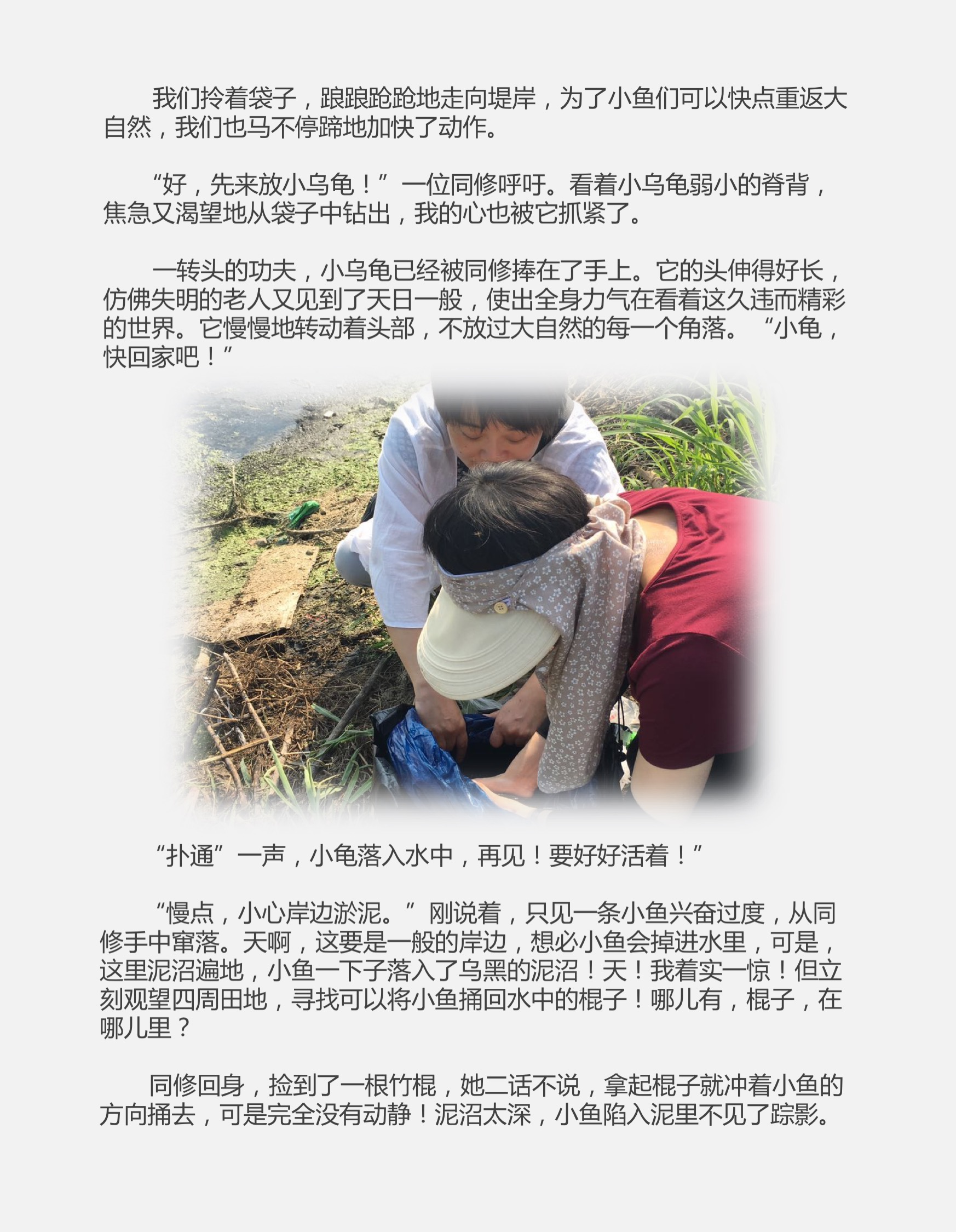 泥沼中的重生 2