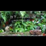 fangxiaduiqixuedekongzhizhuchang