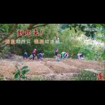 动起来阳气越提升观照越清晰