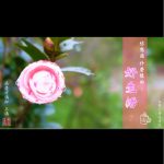 你想过什么样的好生活