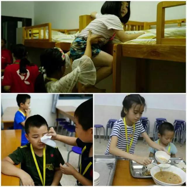 炎炎夏日小树苗也在茁壮成长23