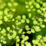 每个孩子都希望被看见