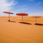 才干越多，捆绑越深