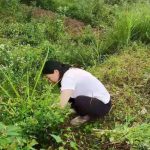 实战经典的味道，我终于尝到了！