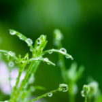 应该如何指出别人的问题？